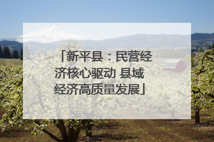新平县：民营经济核心驱动 县域经济高质量发展