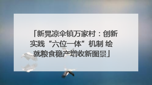 新晃凉伞镇万家村：创新实践“六位一体”机制 绘就粮食稳产增收新图景