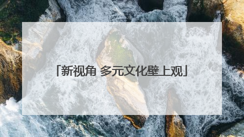 新视角 多元文化壁上观