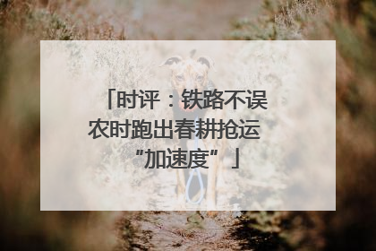 时评：铁路不误农时跑出春耕抢运“加速度”