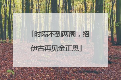时隔不到两周，绍伊古再见金正恩