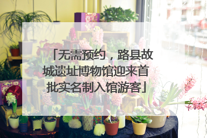 无需预约，路县故城遗址博物馆迎来首批实名制入馆游客