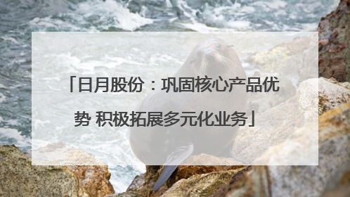 日月股份：巩固核心产品优势 积极拓展多元化业务