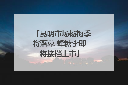 昆明市场杨梅季将落幕 蜂糖李即将接档上市