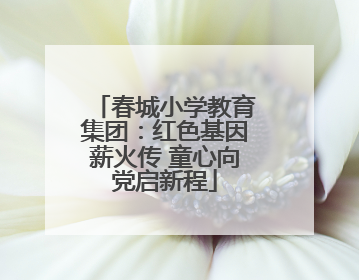 春城小学教育集团：红色基因薪火传 童心向党启新程