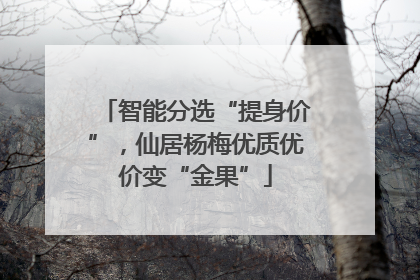 智能分选“提身价”，仙居杨梅优质优价变“金果”