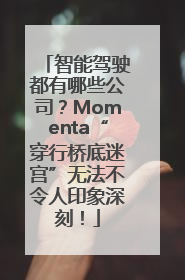 智能驾驶都有哪些公司？Momenta“穿行桥底迷宫”无法不令人印象深刻！