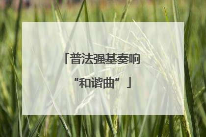 普法强基奏响“和谐曲”