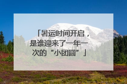 暑运时间开启，是谁迎来了一年一次的“小团圆”