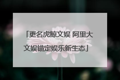 更名虎鲸文娱 阿里大文娱锚定娱乐新生态