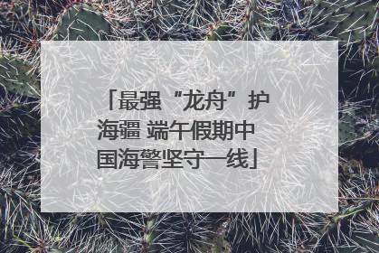 最强“龙舟”护海疆 端午假期中国海警坚守一线