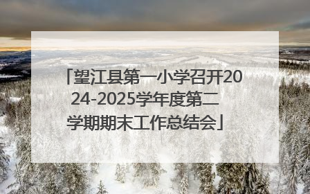 望江县第一小学召开2024-2025学年度第二学期期末工作总结会