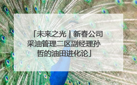 未来之光｜新春公司采油管理二区副经理孙哲的油田进化论