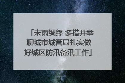 未雨绸缪 多措并举 聊城市城管局扎实做好城区防汛备汛工作