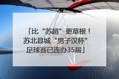 比“苏超”更草根！苏北县城“男子汉杯”足球赛已连办35届