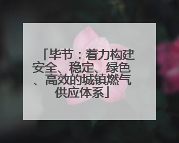 毕节：着力构建安全、稳定、绿色、高效的城镇燃气供应体系