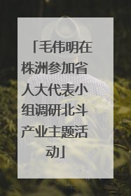 毛伟明在株洲参加省人大代表小组调研北斗产业主题活动