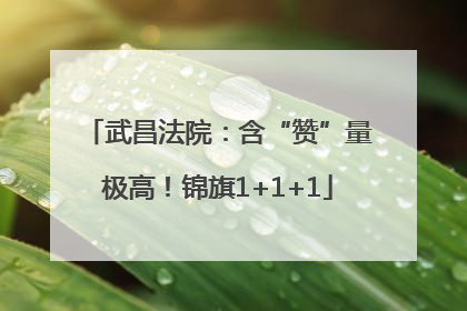 武昌法院：含“赞”量极高！锦旗1+1+1