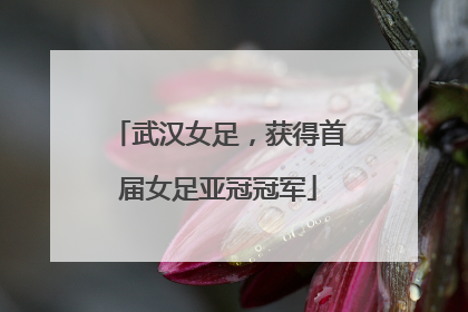武汉女足，获得首届女足亚冠冠军