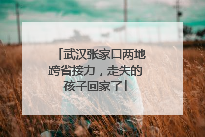 武汉张家口两地跨省接力，走失的孩子回家了
