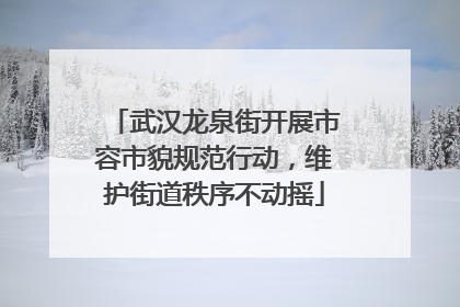 武汉龙泉街开展市容市貌规范行动，维护街道秩序不动摇