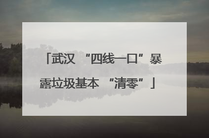武汉 “四线一口”暴露垃圾基本 “清零”