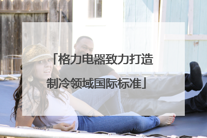 格力电器致力打造制冷领域国际标准