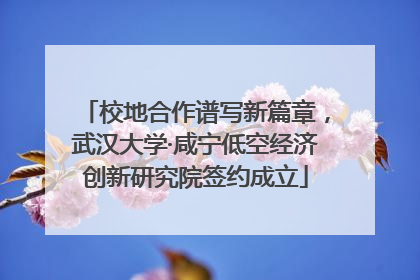 校地合作谱写新篇章，武汉大学·咸宁低空经济创新研究院签约成立