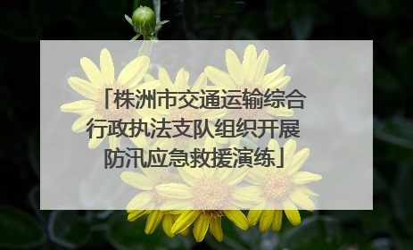 株洲市交通运输综合行政执法支队组织开展防汛应急救援演练