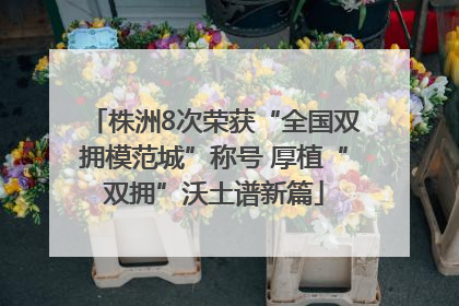 株洲8次荣获“全国双拥模范城”称号 厚植“双拥”沃土谱新篇