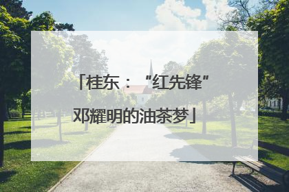 桂东：“红先锋”邓耀明的油茶梦