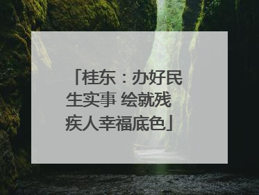 桂东：办好民生实事 绘就残疾人幸福底色