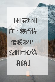 桂花坪桂庄：粽香传情暖邻里 党群同心筑和谐
