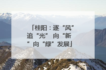 桂阳：逐“风”追“光” 向“新”向“绿”发展