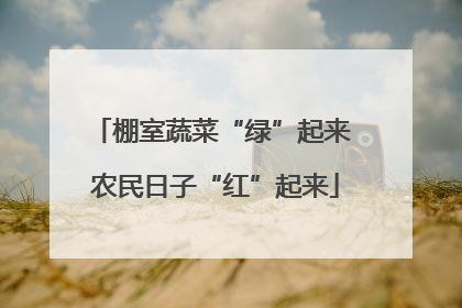 棚室蔬菜“绿”起来 农民日子“红”起来