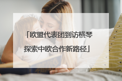 欧盟代表团到访横琴 探索中欧合作新路径