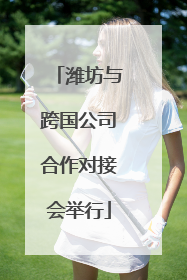 潍坊与跨国公司合作对接会举行