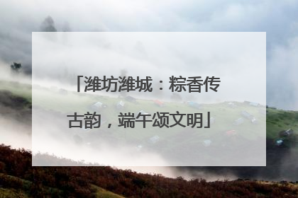潍坊潍城：粽香传古韵，端午颂文明