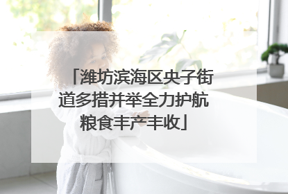 潍坊滨海区央子街道多措并举全力护航粮食丰产丰收