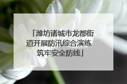 潍坊诸城市龙都街道开展防汛综合演练 筑牢安全防线