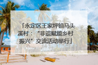 永定区王家坪镇马头溪村：“非遗赋能乡村振兴”交流活动举行