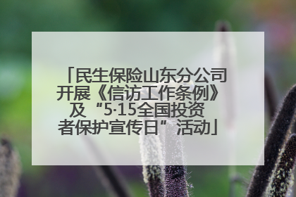 民生保险山东分公司开展《信访工作条例》及“5·15全国投资者保护宣传日”活动