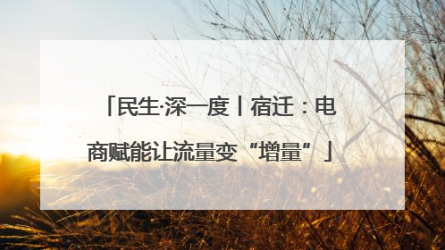 民生·深一度丨宿迁：电商赋能让流量变“增量”