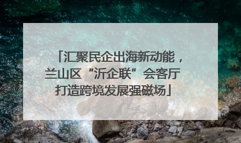 汇聚民企出海新动能，兰山区“沂企联”会客厅打造跨境发展强磁场