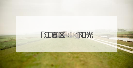 江夏区：“阳光电”托起拆迁户的“安居梦”
