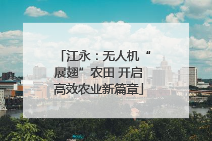 江永：无人机“展翅”农田 开启高效农业新篇章