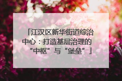 江汉区新华街道综治中心：打造基层治理的“中枢”与“堡垒”