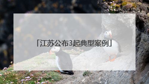 江苏公布3起典型案例