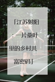 江苏射阳：一片桑叶里的乡村共富密码