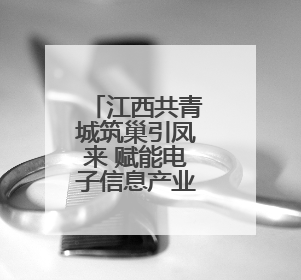 江西共青城筑巢引凤来 赋能电子信息产业发展
